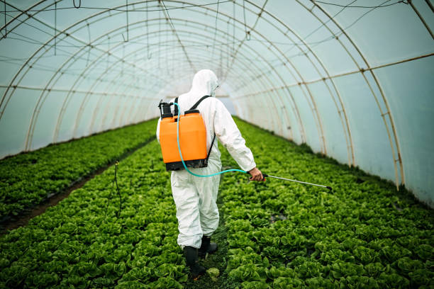 Best Pest Removal Services  in Lindenwold, NJ