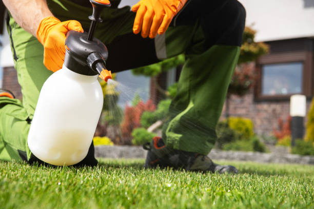 Insect Control in Lindenwold, NJ
