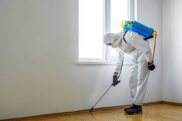 Trusted Lindenwold, NJ Pest Control Experts