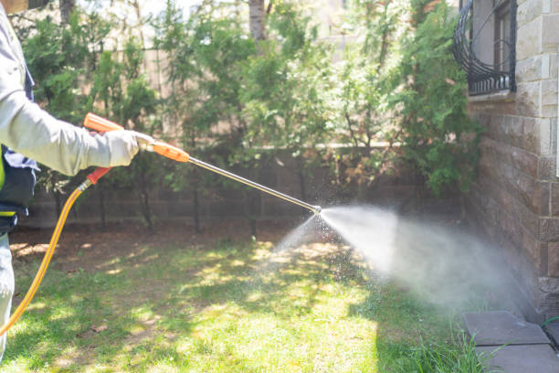 Best Pest Removal Services  in Lindenwold, NJ