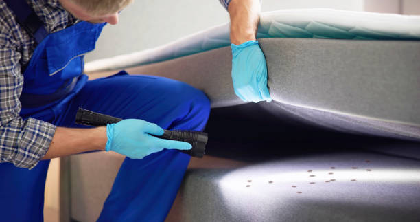 Best Residential Pest Control  in Lindenwold, NJ