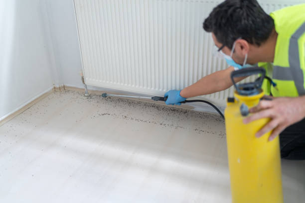 Best Best Pest Control Companies  in Lindenwold, NJ