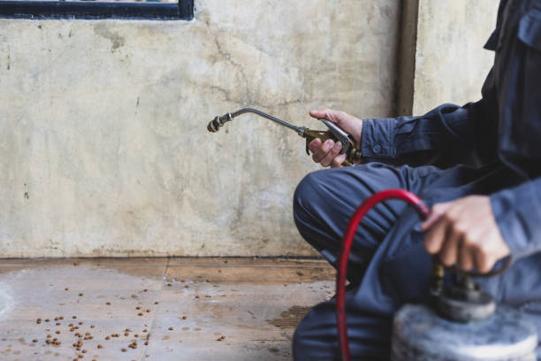Best Affordable Pest Control Services  in Lindenwold, NJ